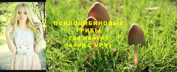 2c-b Володарск