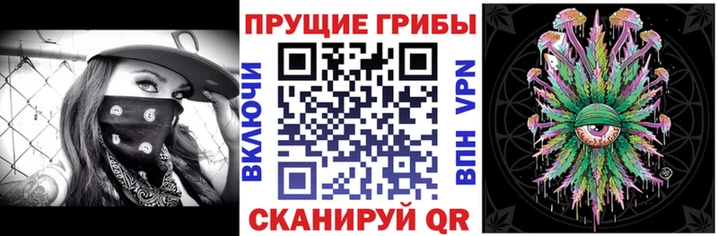 закладка  Ачинск  Псилоцибиновые грибы мухоморы 